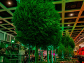 Grüne Woche 2024 - Blumenhalle