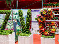 Grüne Woche 2024 - Stand des Zentralverbandes Gartenbau (ZVG)