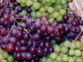 Grüne Woche 2024 - Weintrauben