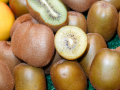 Grüne Woche 2024 - Kiwi Früchte