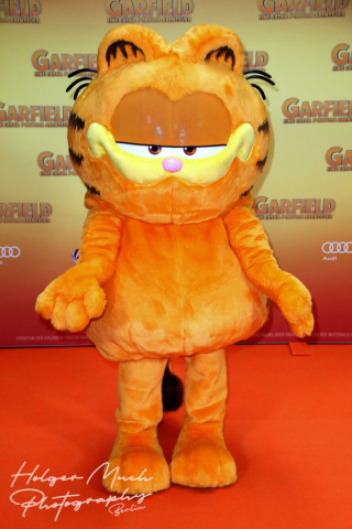 Garfield figure