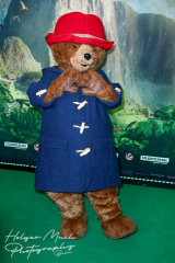 Der Bär Paddington