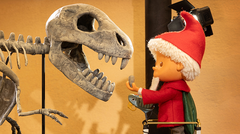 Im Museum für Naturkunde erlebt das Sandmännchen einen aufregenden Nachmittag // rbb/Stefan Schomerus
