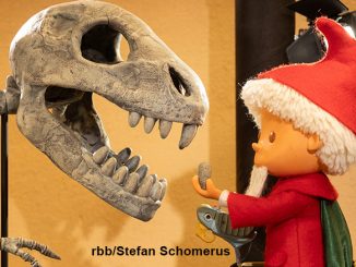Das Sandmännchen im Naturkundemuseum // rbb/Stefan Schomerus