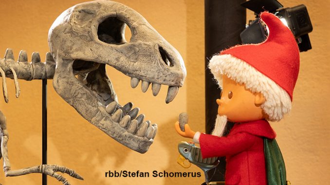 Das Sandmännchen im Naturkundemuseum // rbb/Stefan Schomerus